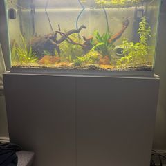 105L fish tank open to offers