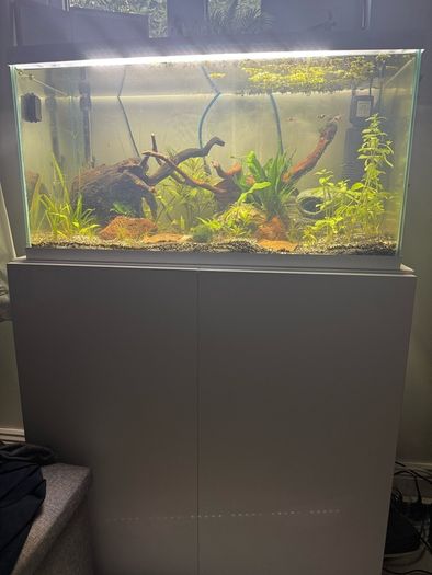 105L fish tank open to offers