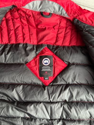 canada goose