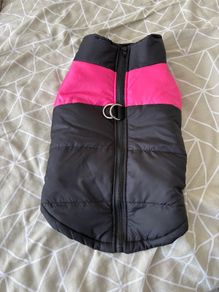 dog coat