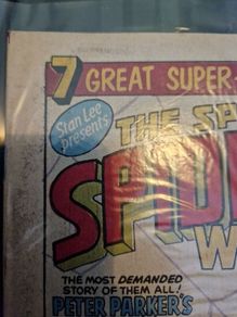 Stan Lee Spiderman issue original rare