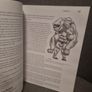 Exploring Character Design Image 5
