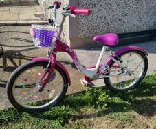Free 20" Girls Bike