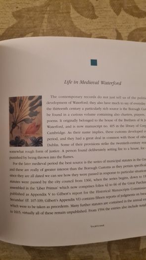 The Royal Charters Of Waterford. Large Volume Book. In Good Condition.
