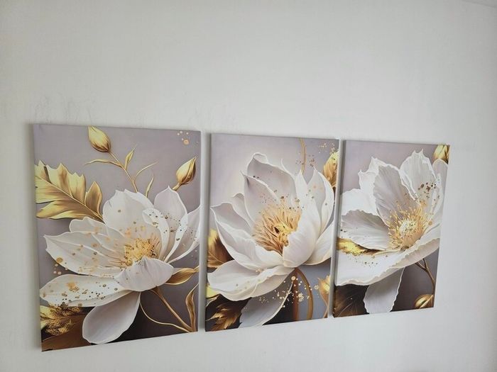Set of 3 framed canvas