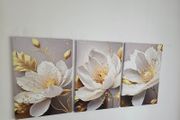 Set of 3 framed canvas