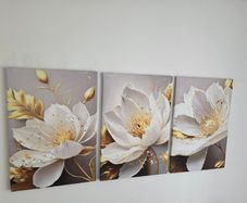 Set of 3 framed canvas