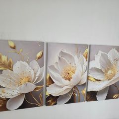 Set of 3 framed canvas