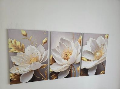 Set of 3 framed canvas