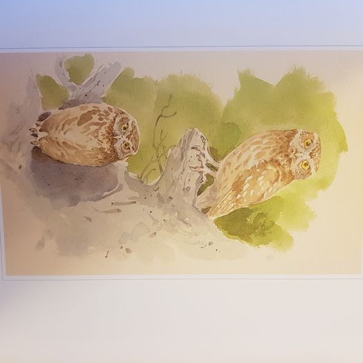 Beningfields Woodlands. Beautiful paintings by Gordan Beningfield of woodland and it birds and animals.