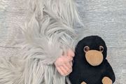 Harry Potter Soft toys