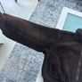 BNWT Brown  teddy fleece jacket from H&M move Image 9