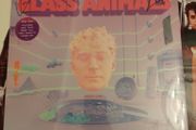 Glass Animals - Dreamland (signed and sealed)