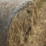 Hay & Haylage for sale Image 2
