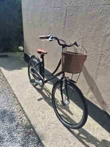 classic bike