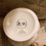 Donegal Parian China Errigal Shamrock/Clover Flower Pot Image 3