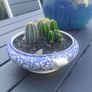 Fabulous Vintage Arklow Pottery Blue and White Tureen with Cacti Garden - A Fabulous Unique and Decorative Item for Display Indoors Image 4