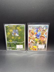 Nymble 096/094 | Cramorant 176/167 Pokemon cards