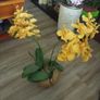 Flower in pot Image 2