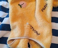 dog clothes