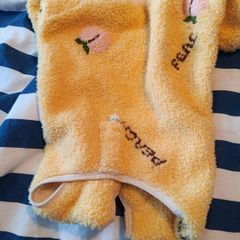 dog clothes