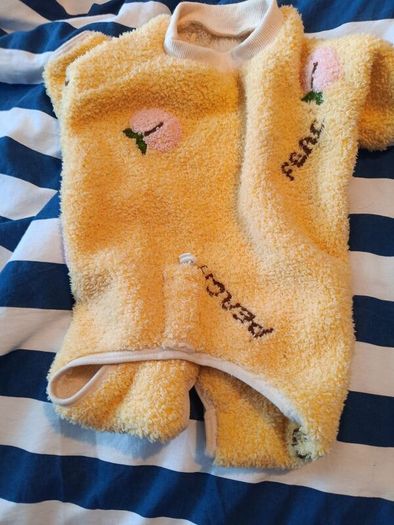 dog clothes