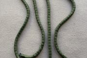 Sets of 4  X 12 GRAM wriggle weights for salmon &amp; trout