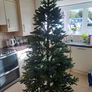 Woodies Aspen Pine Undecorated Luxury Christmas Image 4