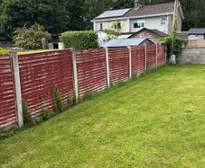 Fence panels 1800 x 1500 6x5ft (9)