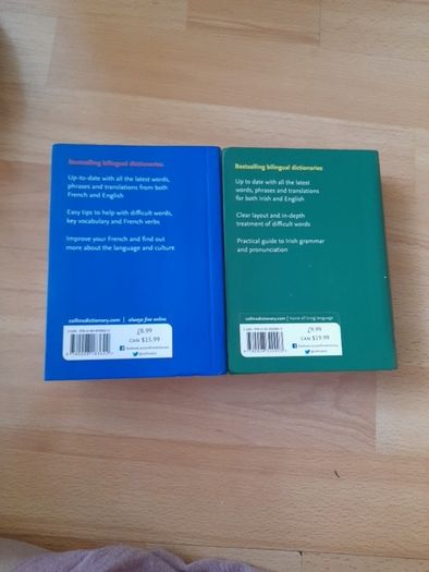 French and Irish dictionary