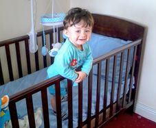 Cot Bed Dark Wood