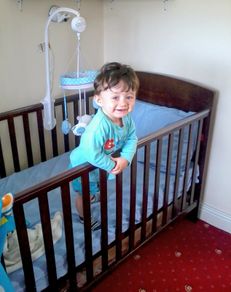 Cot Bed Dark Wood