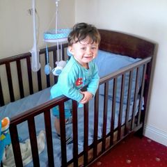 Cot Bed Dark Wood