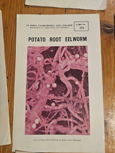 Vintage Department Of Agricultural Pamplets,and Leaflets X 13. In Good Condition.  See Photos For Same.
