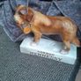 vintage hennessy ad dog Image 9