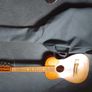 small guitar for sale Image 2