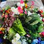 flowers Image 2