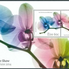 2014 Ireland World Flower Show Commemorative Stamps Miniature Sheet Mint Never Hinged (MNH)