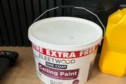 White Ceiling Paint