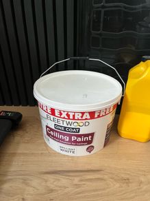 White Ceiling Paint
