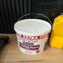 White Ceiling Paint