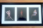 Framed art nude photos.
