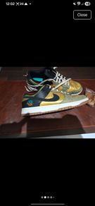 Nike Dunk