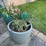 Medium Grey Earthenware Flower Pot- 2 available Image 3