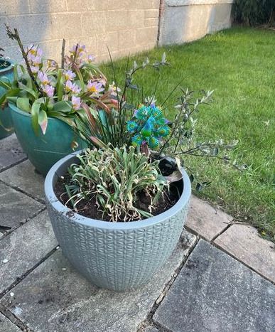 Medium Grey Earthenware Flower Pot- 2 available