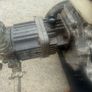 Honda power washer Image 2
