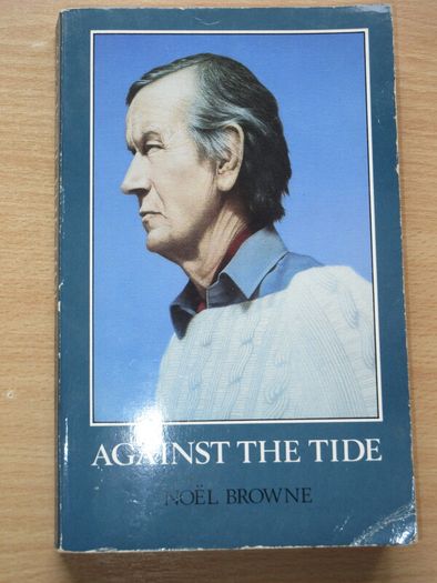 Collection of 31 vintage collectible and out of print books on Dublin, Ireland Local and Family History