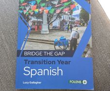 Bridge the Gap transition year spanish