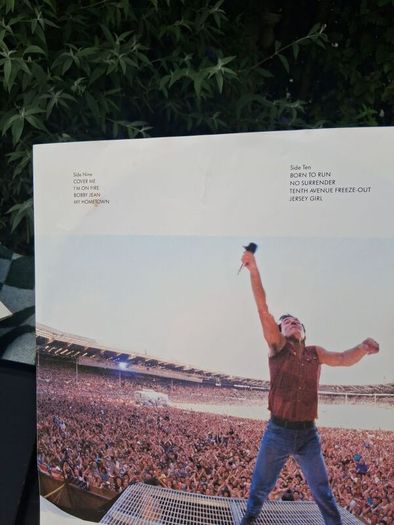 2 X Bruce Spingsteen Vinyl Lps