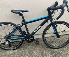 Kids 9spd Team Sky Edition Frog Racing Bike